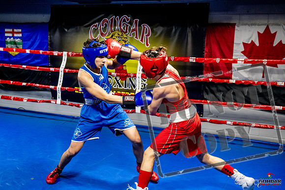 Cougar Boxing Basement Brawl -0447