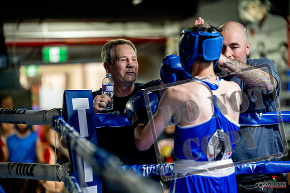 Cougar boxing June 7th 2025-0148