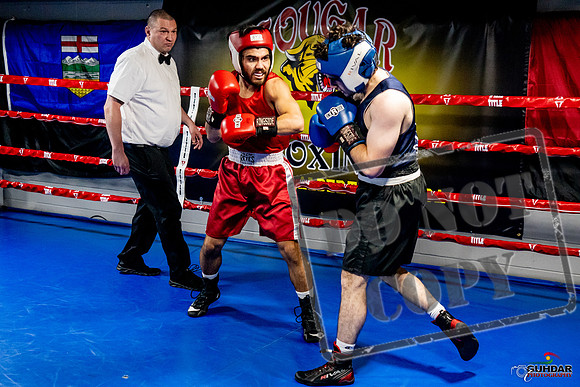 Cougar Boxing Basement Brawl -0383