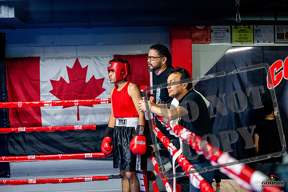 Cougar boxing June 7th 2025-0570