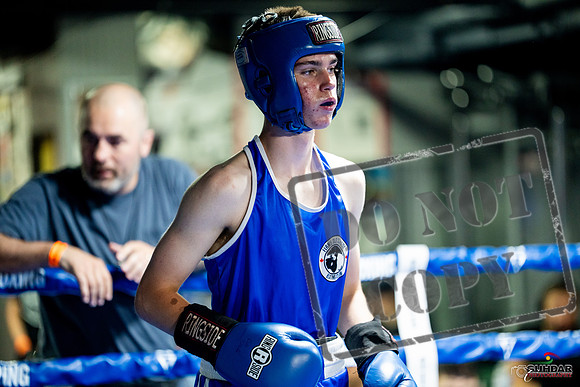 Cougar boxing June 7th 2025-0088