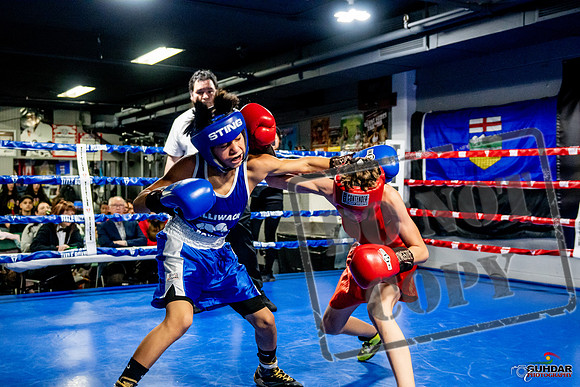 Cougar Boxing Basement Brawl -0254