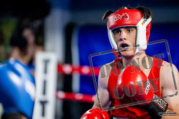 Cougar boxing June 7th 2025-0909