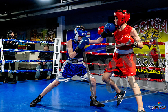 Cougar Boxing Basement Brawl -0201