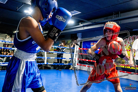 Cougar Boxing Basement Brawl -0242