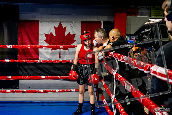 Cougar Boxing Basement Brawl -0546