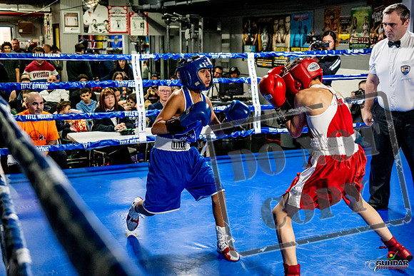 Cougar Boxing Basement Brawl -0328