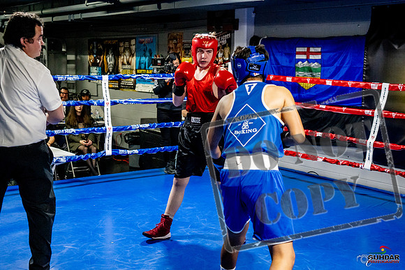 Cougar Boxing Basement Brawl -0522