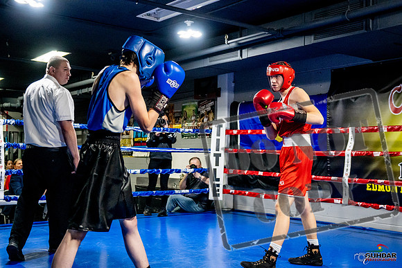 Cougar Boxing Basement Brawl -0112