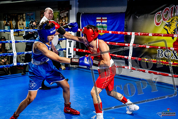 Cougar Boxing Basement Brawl -0465