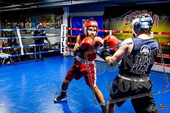 Cougar Boxing Basement Brawl -0418