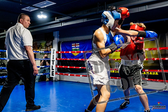 Cougar Boxing Basement Brawl -0167