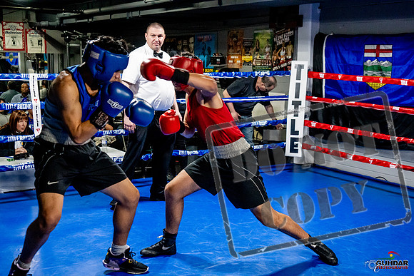 Cougar Boxing Basement Brawl -0659