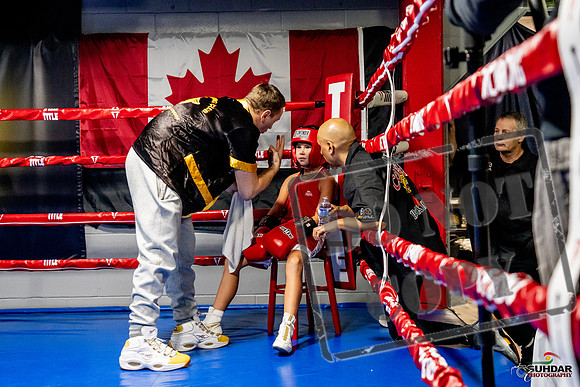 Cougar Boxing Basement Brawl -0078