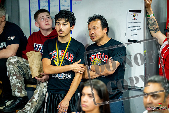 Cougar boxing June 7th 2025-0793