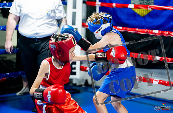 Cougar boxing June 7th 2025-0031