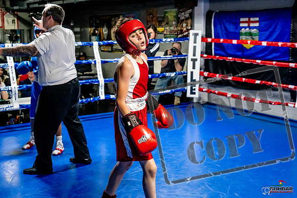 Cougar Boxing Basement Brawl -0349