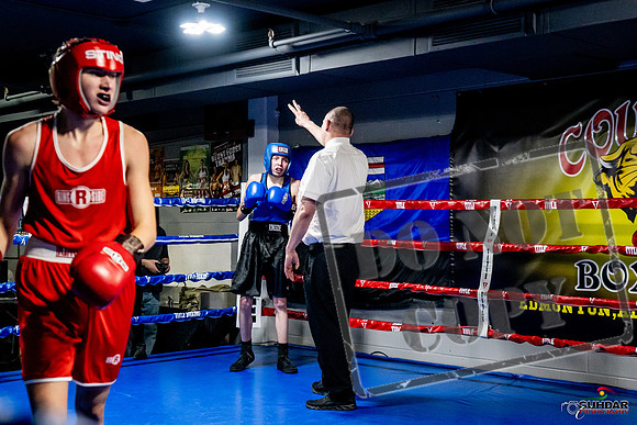 Cougar Boxing Basement Brawl -0127