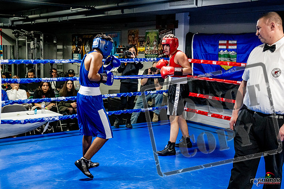 Cougar Boxing Basement Brawl -0621