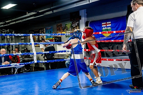 Cougar Boxing Basement Brawl -0093