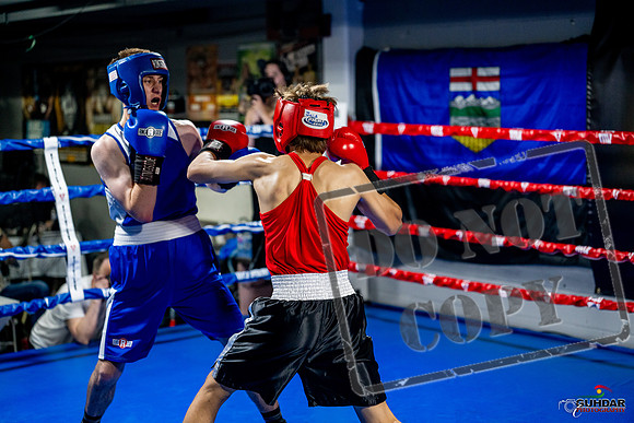 Cougar boxing June 7th 2025-0803