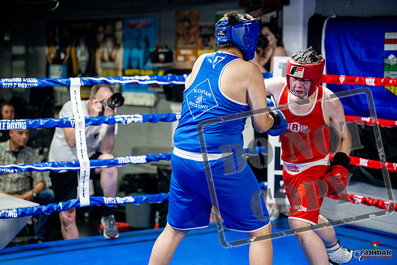 Cougar boxing June 7th 2025-0709