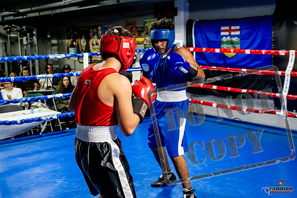 Cougar Boxing Basement Brawl -0619