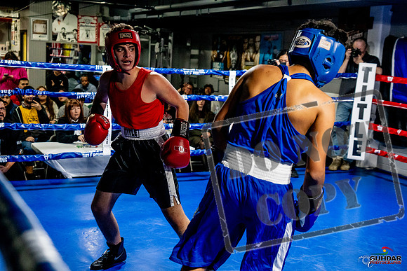 Cougar Boxing Basement Brawl -0630