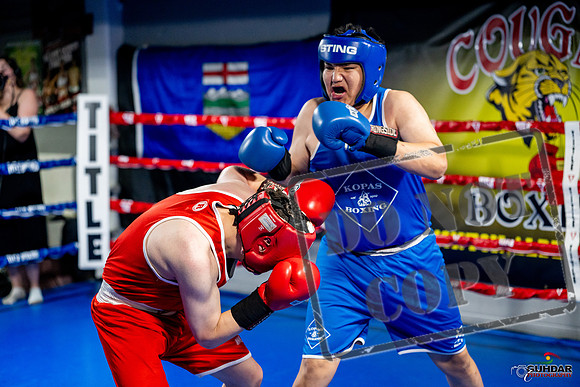 Cougar boxing June 7th 2025-0726