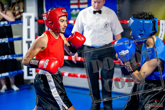 Cougar boxing June 7th 2025-0185