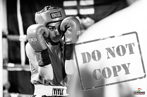 Cougar boxing June 7th 2025-0168