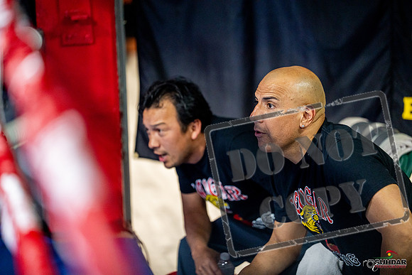 Cougar boxing June 7th 2025-0188