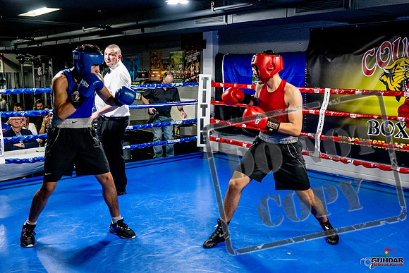 Cougar Boxing Basement Brawl -0657