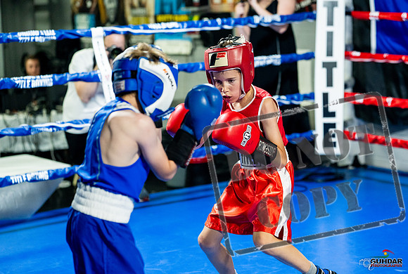 Cougar boxing June 7th 2025-0056