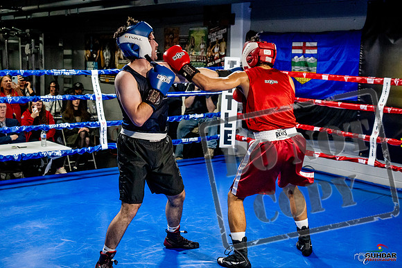 Cougar Boxing Basement Brawl -0419