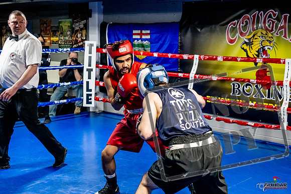 Cougar Boxing Basement Brawl -0371
