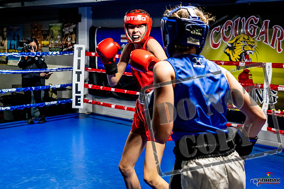Cougar Boxing Basement Brawl -0594