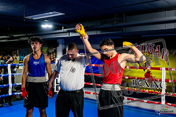 Cougar Boxing Basement Brawl -0687