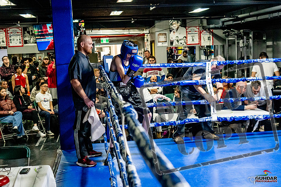 Cougar Boxing Basement Brawl -0104