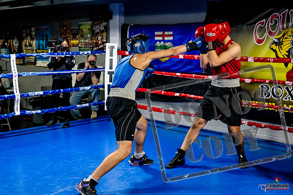 Cougar Boxing Basement Brawl -0673