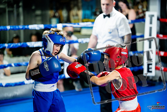 Cougar boxing June 7th 2025-0040
