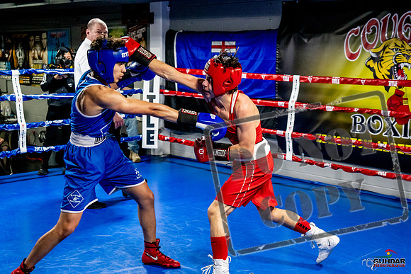 Cougar Boxing Basement Brawl -0464