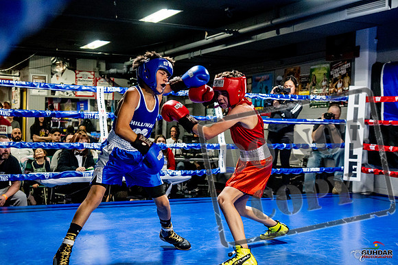 Cougar Boxing Basement Brawl -0260