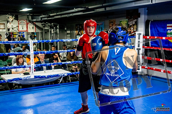 Cougar Boxing Basement Brawl -0520