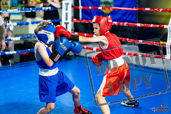 Cougar boxing June 7th 2025-0020