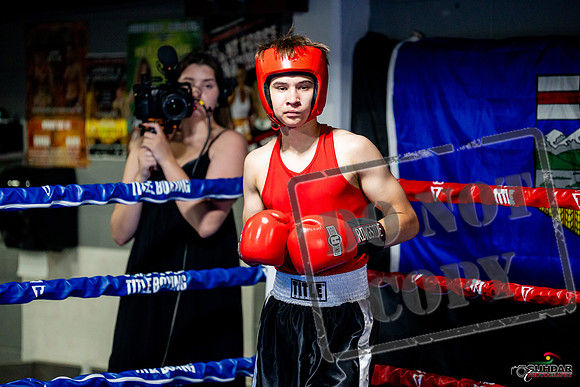 Cougar boxing June 7th 2025-0831
