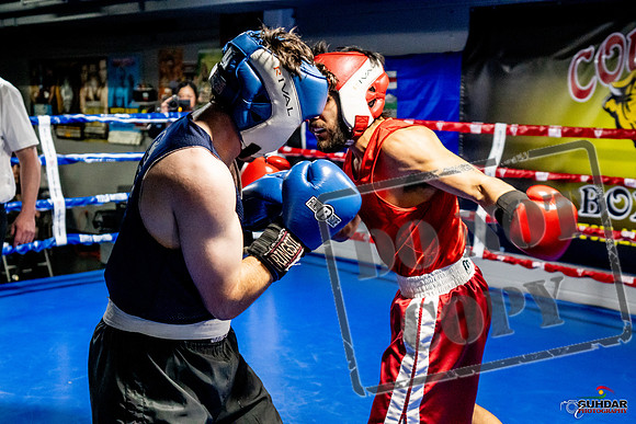 Cougar Boxing Basement Brawl -0399