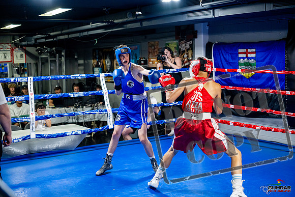 Cougar boxing June 7th 2025-0103
