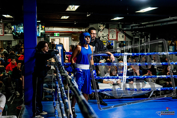 Cougar Boxing Basement Brawl -0602