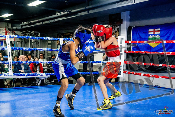 Cougar Boxing Basement Brawl -0263